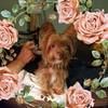 dunlapwendy64